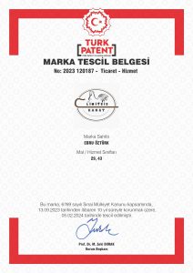 limitsiz kanat 2023-120187_Sayfa_1